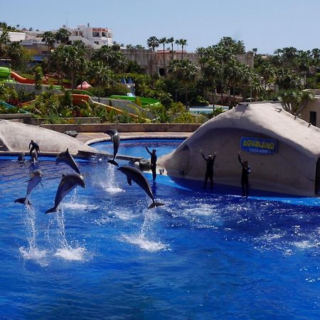 Amazing 3 Bedroom Apartment On The First Line Of The Best Las Americas Beach, Air Conditioner And Terrace Ocean View プラヤ・デ・ラス・アメリカス エクステリア 写真